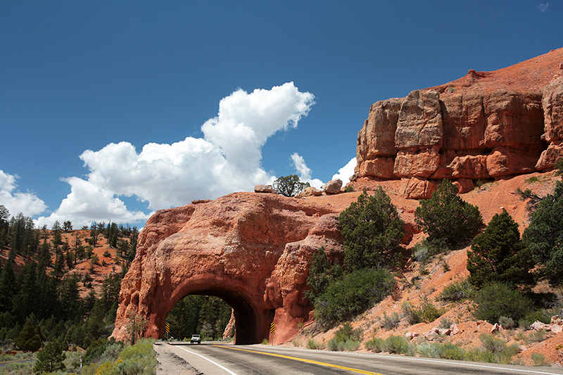 Bryce Canyon : Utah : Landscape Photos : Richard Moore : Photographer